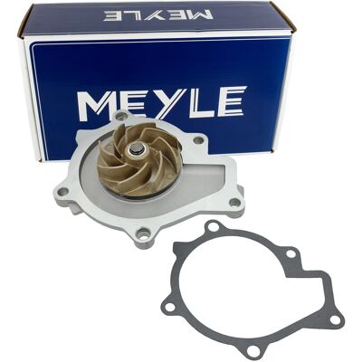 Hyundai Modell 251002f000 Wasserpumpe - Passend für Kia Carnival, Hyundai Ix35 Hyundai Modell 251002f000 Wasserpumpe - Passend für Kia Carnival, Hyundai Ix35