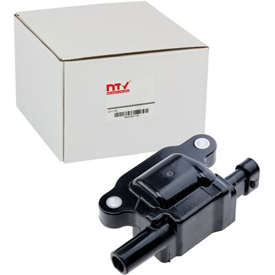 Borgwarner ECZ-CH-031 Zündspule - Zündspule Borgwarner ECZ-CH-031 Zündspule - Zündspule