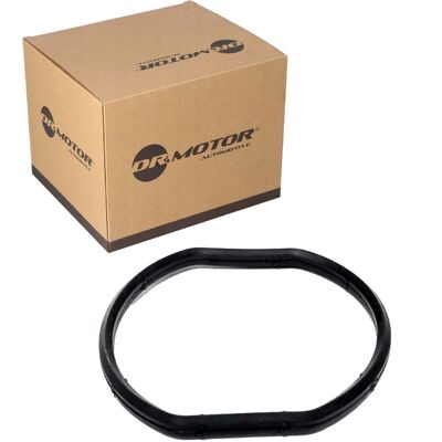 Dr.motor Automotive Dichtung Thermostatgehäuse Passend Für Alfa 159 Fiat Stilo: Dichtung, Thermostatgehäuse Ajusa: 01156300 Alfa Romeo: 55351449 Dr.mo Dr.motor Automotive Dichtung Thermostatgehäuse Passend Für Alfa 159 Fiat Stilo: Dichtung, Thermostatgehäuse Ajusa: 01156300 Alfa Romeo: 55351449 Dr.mo