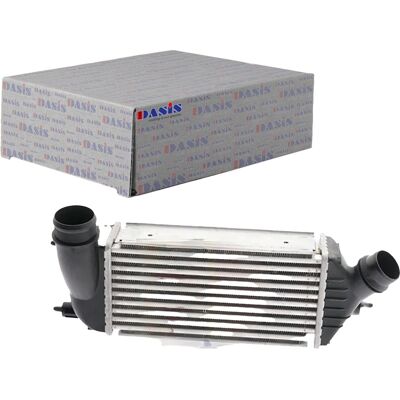 Aks Dasis Ladeluftkühler Passend Für Citroën C8 Jumpy Fiat Scudo Peugeot 807: Ladeluftkühler Abakus: 0090180026 Aks Dasis: 067007n Ava Clever Choice: Aks Dasis Ladeluftkühler Passend Für Citroën C8 Jumpy Fiat Scudo Peugeot 807: Ladeluftkühler Abakus: 0090180026 Aks Dasis: 067007n Ava Clever Choice: