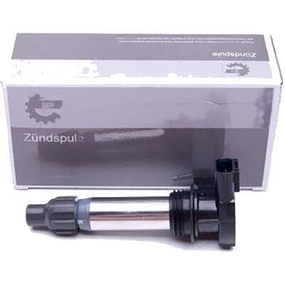 Esen Skv Zündspule Zündmodul Passend Für Buick Enclave Cadillac Cts Srx Sts: Zündspule Astemo: 2504021 Bogap: G8648100 Borgwarner (beru): Zse252 Bremi Esen Skv Zündspule Zündmodul Passend Für Buick Enclave Cadillac Cts Srx Sts: Zündspule Astemo: 2504021 Bogap: G8648100 Borgwarner (beru): Zse252 Bremi