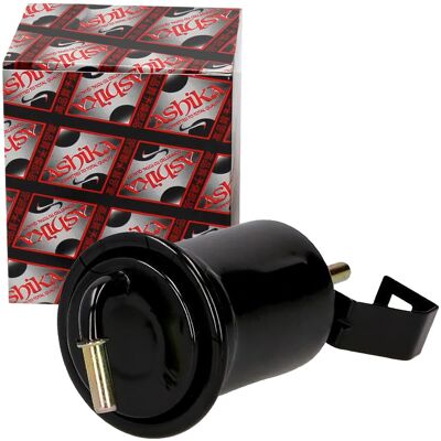 Ashika TF1590 - Kraftstofffilter für Lexus Gs und Toyota Land Ashika TF1590 - Kraftstofffilter für Lexus Gs und Toyota Land