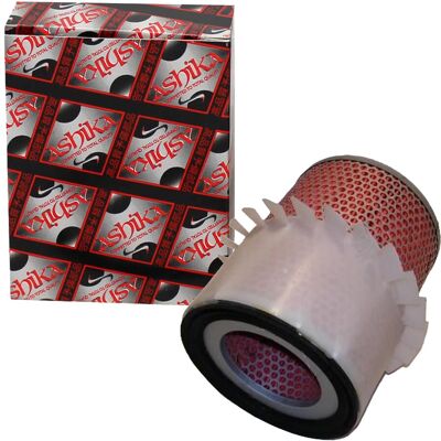 Ashika Modell 20-05-523 - Luftfilter Ashika Modell 20-05-523 - Luftfilter