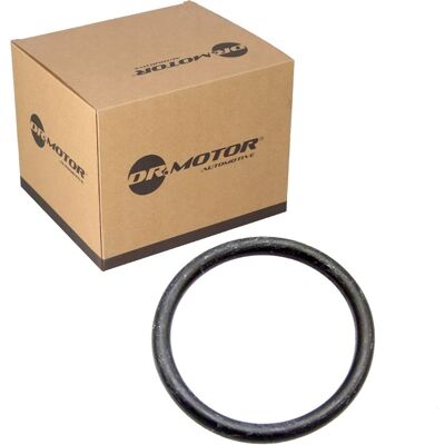 Ford DRM01467 - Dichtring und Kühlmittelschlauch für C-max Ecosport Ford DRM01467 - Dichtring und Kühlmittelschlauch für C-max Ecosport