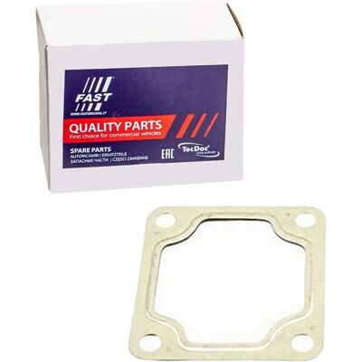 Fast Dichtung Auspuff Abgasrohr Passend Für Ford Transit Ft84502: Dichtung, Abgasrohr Bga: Ag9201 Bosal: 256110 Dr!ve+: Dp1310150115 Fa1: 130946 Fast: Fast Dichtung Auspuff Abgasrohr Passend Für Ford Transit Ft84502: Dichtung, Abgasrohr Bga: Ag9201 Bosal: 256110 Dr!ve+: Dp1310150115 Fa1: 130946 Fast: