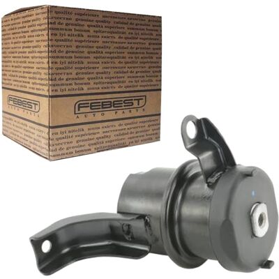 Febest Motorlager Vorne Rechts Passend Für Ford Maverick Mazda Tribute: Lagerung, Motor Febest: Mzmeprh Febest: Mzmtrrh Ford: 4487414 Ford: 4607829 Fo Febest Motorlager Vorne Rechts Passend Für Ford Maverick Mazda Tribute: Lagerung, Motor Febest: Mzmeprh Febest: Mzmtrrh Ford: 4487414 Ford: 4607829 Fo