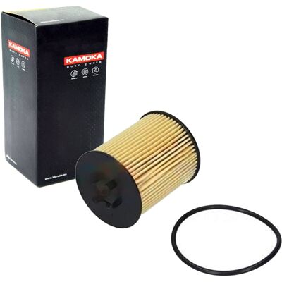 Kamoka Ölfilter Passend Für Cadillac Cts Opel Astra Corsa Meriva Omega Signum: Ölfilter 1a First Automotive: E50116 1a First Automotive: L40317 Amc Fi Kamoka Ölfilter Passend Für Cadillac Cts Opel Astra Corsa Meriva Omega Signum: Ölfilter 1a First Automotive: E50116 1a First Automotive: L40317 Amc Fi