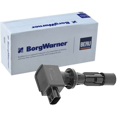 Borgwarner ZSE217 Zündspule - Zündspule für Mazda 3 6 CX-7 MX-5 Borgwarner ZSE217 Zündspule - Zündspule für Mazda 3 6 CX-7 MX-5