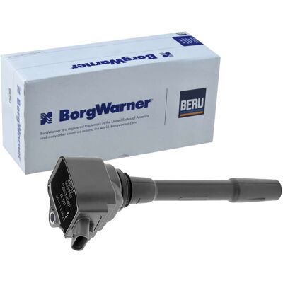 BorgWarner Zündspule 55282087 für Fiat 500X, Jeep BorgWarner Zündspule 55282087 für Fiat 500X, Jeep