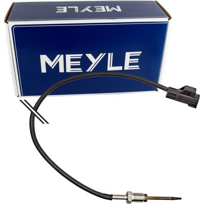 Meyle Abgastemperatursensor Passend Für Ford Kuga Tourneo Transit 714 800 0038: Sensor, Abgastemperatur Abakus: 12007048 Ashika: 161000301 Bogap: F612 Meyle Abgastemperatursensor Passend Für Ford Kuga Tourneo Transit 714 800 0038: Sensor, Abgastemperatur Abakus: 12007048 Ashika: 161000301 Bogap: F612
