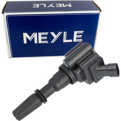 Meyle 214 885 0025 Zündspule - Zündmodul für Fiat 500 Panda Lancia Ypsilon Meyle 214 885 0025 Zündspule - Zündmodul für Fiat 500 Panda Lancia Ypsilon