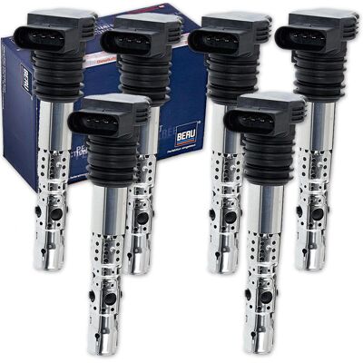 6x Beru Zündspule Passend Für 2.7 T Quattro Audi A6 (c5) Ab Bj 2001 Bis 2005: Zündspule Abakus: 12201012 Aic: 51054 Ap Xenergy: Xe9002d Ap Xenergy: Xe 6x Beru Zündspule Passend Für 2.7 T Quattro Audi A6 (c5) Ab Bj 2001 Bis 2005: Zündspule Abakus: 12201012 Aic: 51054 Ap Xenergy: Xe9002d Ap Xenergy: Xe