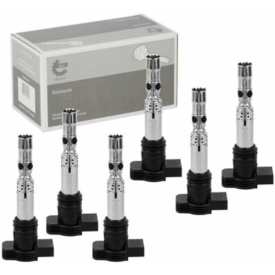 Hausmarke 6x Skv Zündspule Passend Für Audi A6 (c5) 2.7 T Quattro: Audi: 06a905115 Audi: 06a905115a Audi: 06a905115d Audi: 06b905115d Audi: 06b905115g Audi: 06b Hausmarke 6x Skv Zündspule Passend Für Audi A6 (c5) 2.7 T Quattro: Audi: 06a905115 Audi: 06a905115a Audi: 06a905115d Audi: 06b905115d Audi: 06b905115g Audi: 06b