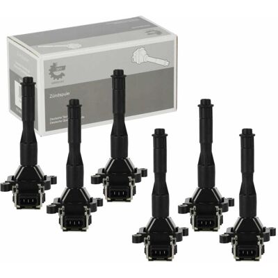Hausmarke 6x Skv Zündspule Passend Für Bmw 3 (e36 E46) 5 (e39) 7 (e38) Z3 (e36) X5 (e53): Bmw: 12131703227 Bmw: 12131703228 Bmw: 12131703825 Bmw: 12131748017 Bm Hausmarke 6x Skv Zündspule Passend Für Bmw 3 (e36 E46) 5 (e39) 7 (e38) Z3 (e36) X5 (e53): Bmw: 12131703227 Bmw: 12131703228 Bmw: 12131703825 Bmw: 12131748017 Bm
