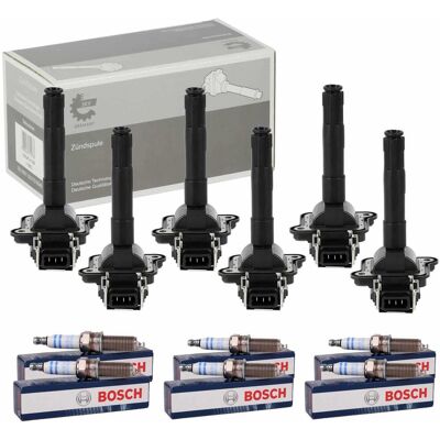 Hausmarke 6x Skv Zündspule + 6x Bosch Zündkerze Für Audi A4 (b5) A6 (c5) Allroad (c5) 2.7: Vag: 058905101 Vag: 058905105 Audi: 101000033af Audi: 101000063aa Hausmarke 6x Skv Zündspule + 6x Bosch Zündkerze Für Audi A4 (b5) A6 (c5) Allroad (c5) 2.7: Vag: 058905101 Vag: 058905105 Audi: 101000033af Audi: 101000063aa