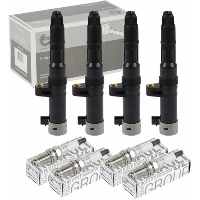Hausmarke+RENAULT Skv Zündspule + Zündkerze Passend Für Renault Clio Scenic Laguna Megane 1.4-2.0: Renault: 7700274154 Renault: 7700500155 Renault: 8200209310 Renault: Hausmarke+RENAULT Skv Zündspule + Zündkerze Passend Für Renault Clio Scenic Laguna Megane 1.4-2.0: Renault: 7700274154 Renault: 7700500155 Renault: 8200209310 Renault: