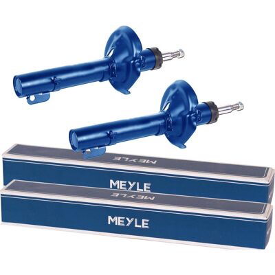 2x Meyle Gasdruck Stoßdämpfer Vorne Passend Für Renault Laguna 3 + Grandtour: Stoßdämpfer Abakus: 23201110 Al-ko: 303923 Ap Xenergy: X704339 Ashika: M 2x Meyle Gasdruck Stoßdämpfer Vorne Passend Für Renault Laguna 3 + Grandtour: Stoßdämpfer Abakus: 23201110 Al-ko: 303923 Ap Xenergy: X704339 Ashika: M