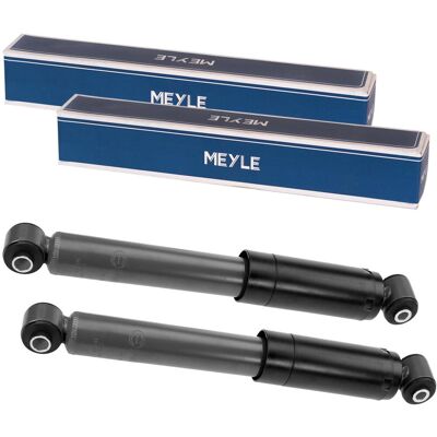 2x Meyle Stossdämpfer Hinterachse Für Fiat Ducato Peugeot Boxer Citroen Jumper: Stoßdämpfer Abakus: 23202091 Al-ko: 200350 Al-ko: 200370 Ap Xenergy: X 2x Meyle Stossdämpfer Hinterachse Für Fiat Ducato Peugeot Boxer Citroen Jumper: Stoßdämpfer Abakus: 23202091 Al-ko: 200350 Al-ko: 200370 Ap Xenergy: X