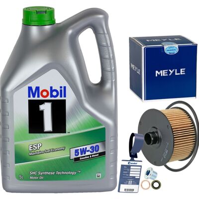 Mobil 1 - ESP 5W-30 - MB 229.31 - Motoröl Mobil 1 - ESP 5W-30 - MB 229.31 - Motoröl