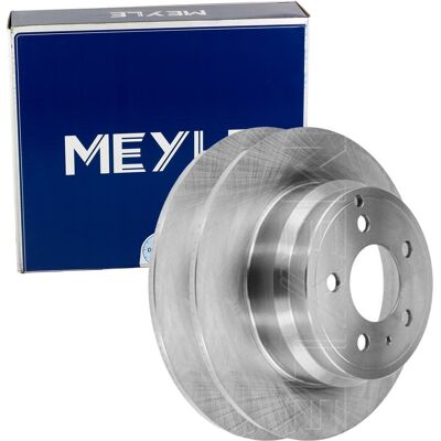 2x Meyle Bremsscheiben 295mm Hinten Passend Für Volvo 850 C70 S70 V70: Bremsscheibe A.b.s.: 16237 Aisin: V6r2049s Ashika: 61000319c Ate: 24011002141 B 2x Meyle Bremsscheiben 295mm Hinten Passend Für Volvo 850 C70 S70 V70: Bremsscheibe A.b.s.: 16237 Aisin: V6r2049s Ashika: 61000319c Ate: 24011002141 B