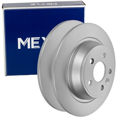2x Meyle Bremsscheiben 302mm Hinten Passend Für Ford Focus Galaxy Kuga Mondeo: Bremsscheibe A.b.s.: 17742 Abakus: 23104025 Abakus: 231040252 Abakus: 2 2x Meyle Bremsscheiben 302mm Hinten Passend Für Ford Focus Galaxy Kuga Mondeo: Bremsscheibe A.b.s.: 17742 Abakus: 23104025 Abakus: 231040252 Abakus: 2
