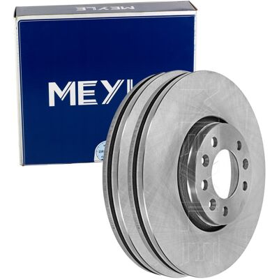2x Meyle Bremsscheiben 304mm Vorne Passend Für Citroën C5 Jumpy Fiat Scudo: Bremsscheibe A.b.s.: 17773 Abakus: 23103101 Abakus: 231031012 Aisin: Q6f12 2x Meyle Bremsscheiben 304mm Vorne Passend Für Citroën C5 Jumpy Fiat Scudo: Bremsscheibe A.b.s.: 17773 Abakus: 23103101 Abakus: 231031012 Aisin: Q6f12
