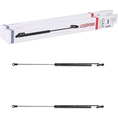 2x Lesjöfors Gasfedern Kofferraum-lifter Passend Für Vw Golf Scirocco 8195021: Gasfeder, Koffer-/laderaum Frankberg: 5481fb0013484 Johns: 95539592 Jp 2x Lesjöfors Gasfedern Kofferraum-lifter Passend Für Vw Golf Scirocco 8195021: Gasfeder, Koffer-/laderaum Frankberg: 5481fb0013484 Johns: 95539592 Jp