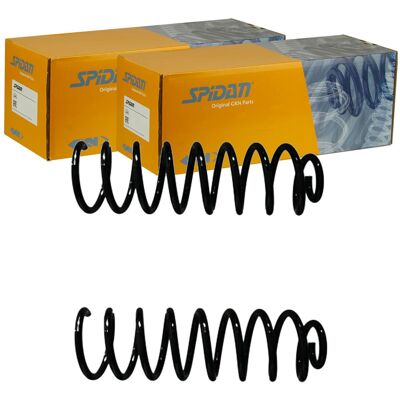 2x Spidan Fahrwerksfedern Satz Hinten Passend Für Lancia Lybra Links+rechts: Fahrwerksfeder Lancia: 46544857 Quinton Hazell: Qcs5959 Sachs: 994193 Skf 2x Spidan Fahrwerksfedern Satz Hinten Passend Für Lancia Lybra Links+rechts: Fahrwerksfeder Lancia: 46544857 Quinton Hazell: Qcs5959 Sachs: 994193 Skf