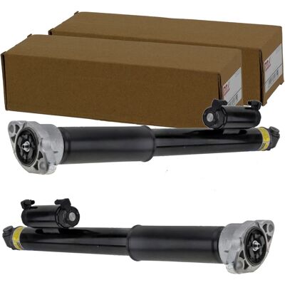 2x Nty Elektr. Verstellbare Stoßdämpfer Hinten Passend Für Mercedes E-klasse Mit: Stoßdämpfer Bilstein: 26269993 Bilstein: 26280875 Mercedes-benz: 213 2x Nty Elektr. Verstellbare Stoßdämpfer Hinten Passend Für Mercedes E-klasse Mit: Stoßdämpfer Bilstein: 26269993 Bilstein: 26280875 Mercedes-benz: 213