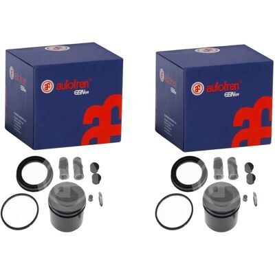 2x Autofren Bremssattel Raparatur-satz Vorne Passend Für Chrysler Voyager: Reparatursatz, Bremssattel Autofren Seinsa: D42065c Autofren Seinsa: D43387 2x Autofren Bremssattel Raparatur-satz Vorne Passend Für Chrysler Voyager: Reparatursatz, Bremssattel Autofren Seinsa: D42065c Autofren Seinsa: D43387