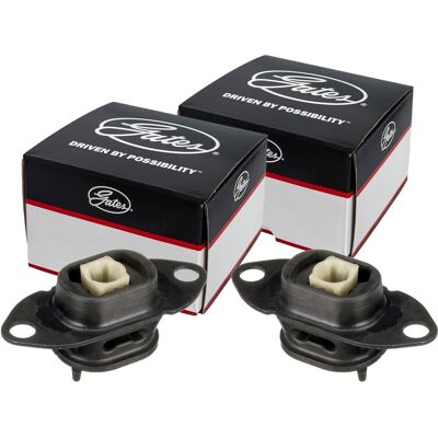 2x Gates Motorlager Beidseitig Passend Für Renault Twingo Smart Forfour Fortwo: Lagerung, Motor 3rg: 41681 Ashika: Gomm13 Birth: 57091 Febi Bilstein: 2x Gates Motorlager Beidseitig Passend Für Renault Twingo Smart Forfour Fortwo: Lagerung, Motor 3rg: 41681 Ashika: Gomm13 Birth: 57091 Febi Bilstein: