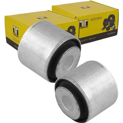 2x Tedgum Querlenkerlager Buchse Hinten Vorne Passend Für Chrysler 300c Pacifica: Lagerung, Lenker Chrysler: 04743244aa Chrysler: 04766774aa Chrysler: 2x Tedgum Querlenkerlager Buchse Hinten Vorne Passend Für Chrysler 300c Pacifica: Lagerung, Lenker Chrysler: 04743244aa Chrysler: 04766774aa Chrysler: