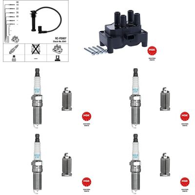 Ngk Zündkabel+spule+kerzen Passend Für 1.4+1.6 Lpg Ford Fiesta 6 Rtjb: Zündkerze Borgwarner (beru): Z604 Bosch: 0242236675 Champion: Cch9016 Champion: Ngk Zündkabel+spule+kerzen Passend Für 1.4+1.6 Lpg Ford Fiesta 6 Rtjb: Zündkerze Borgwarner (beru): Z604 Bosch: 0242236675 Champion: Cch9016 Champion: