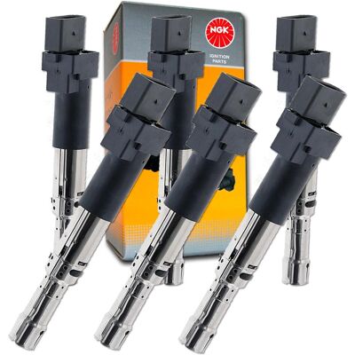 6x Ngk Zündspule Für Audi A3 8p Q7 Tt Vw Passat 3c T5 Golf Iv V Touareg Phaeton: Zündspule Abakus: 12201094 Ackoja: A70700001 Ap Xenergy: Xe0194a Ashi 6x Ngk Zündspule Für Audi A3 8p Q7 Tt Vw Passat 3c T5 Golf Iv V Touareg Phaeton: Zündspule Abakus: 12201094 Ackoja: A70700001 Ap Xenergy: Xe0194a Ashi
