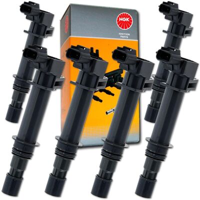 6xngk Zündspule Passend Für Jeep Grand Cherokee Commander Dodge Ram 1500 Pick-up: Zündspule Ashika: 7809914 Astemo: 2504056 Bogap: W8648113 Borgwarner 6xngk Zündspule Passend Für Jeep Grand Cherokee Commander Dodge Ram 1500 Pick-up: Zündspule Ashika: 7809914 Astemo: 2504056 Bogap: W8648113 Borgwarner
