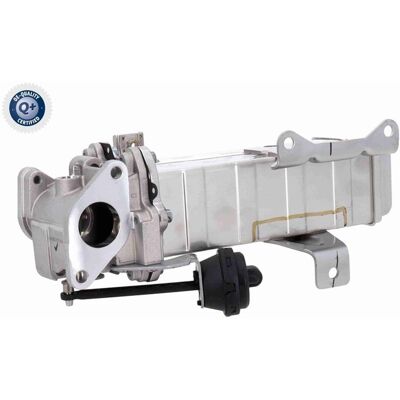 Ackoja Agr-kühler Abgasrückführung Passend Für Hyundai Ix35 Santa Kia Carnival: Kühler, Abgasrückführung Ackoja: A52630003 Era: 500021 Hyundai: 284162 Ackoja Agr-kühler Abgasrückführung Passend Für Hyundai Ix35 Santa Kia Carnival: Kühler, Abgasrückführung Ackoja: A52630003 Era: 500021 Hyundai: 284162