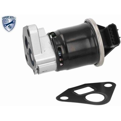 Ackoja Agr-ventil Abgasrückführung Passend Für Honda Insight 1.3 Ima: Agr-ventil Ackoja: A26630007 Elstock: 720386 Era: 555695a Febi Bilstein: 185380 Ackoja Agr-ventil Abgasrückführung Passend Für Honda Insight 1.3 Ima: Agr-ventil Ackoja: A26630007 Elstock: 720386 Era: 555695a Febi Bilstein: 185380