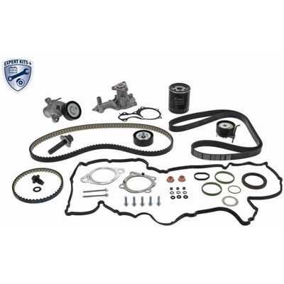 Vaico Zahnriemen-satz + Wasserpumpe Passend Für Ford Focus Iii B-max C-max 1.0: Wasserpumpe + Zahnriemensatz Aisin: Tkfd7012 Bga: Tb2322cpk Bugatti: K Vaico Zahnriemen-satz + Wasserpumpe Passend Für Ford Focus Iii B-max C-max 1.0: Wasserpumpe + Zahnriemensatz Aisin: Tkfd7012 Bga: Tb2322cpk Bugatti: K