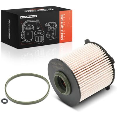 Frankberg Kraftstofffilter Passend Für Cadillac Bls Chevrolet Cruze Malibu: Kraftstofffilter 1a First Automotive: D20944 Aic: 70860 Amc Filter: Df7746 Frankberg Kraftstofffilter Passend Für Cadillac Bls Chevrolet Cruze Malibu: Kraftstofffilter 1a First Automotive: D20944 Aic: 70860 Amc Filter: Df7746