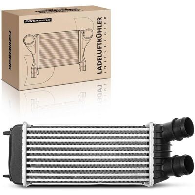 Frankberg Ladeluftkühler Passend Für Citroën Jumpy Fiat Scudo Ulysse Lancia Phed: Ladeluftkühler Abakus: 0090180008 Abakus: 0160180019 Aks Dasis: 0670 Frankberg Ladeluftkühler Passend Für Citroën Jumpy Fiat Scudo Ulysse Lancia Phed: Ladeluftkühler Abakus: 0090180008 Abakus: 0160180019 Aks Dasis: 0670