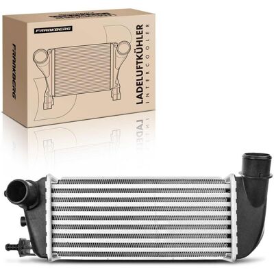 Frankberg Ladeluftkühler Passend Für Fiat 500 Ford Ka 5481fb0015613: Ladeluftkühler Abakus: 0160180006 Aks Dasis: 087014n Aks Dasis: 087015n Ava Cleve Frankberg Ladeluftkühler Passend Für Fiat 500 Ford Ka 5481fb0015613: Ladeluftkühler Abakus: 0160180006 Aks Dasis: 087014n Aks Dasis: 087015n Ava Cleve