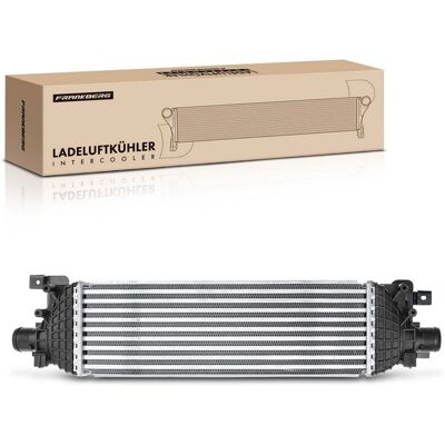 Frankberg Ladeluftkühler Passend Für Ford Fiesta Fusion Mazda 2 5481fb0015630: Ladeluftkühler Abakus: 0170180012 Aks Dasis: 097007n Aks Dasis: 247010n Frankberg Ladeluftkühler Passend Für Ford Fiesta Fusion Mazda 2 5481fb0015630: Ladeluftkühler Abakus: 0170180012 Aks Dasis: 097007n Aks Dasis: 247010n