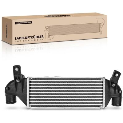Frankberg Ladeluftkühler Passend Für Ford Courier Fiesta Focus Schaltgetriebe: Ladeluftkühler Abakus: 0170180004 Aks Dasis: 097003n Ava Clever Choice: Frankberg Ladeluftkühler Passend Für Ford Courier Fiesta Focus Schaltgetriebe: Ladeluftkühler Abakus: 0170180004 Aks Dasis: 097003n Ava Clever Choice: