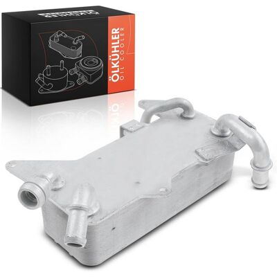 Frankberg Ölkühler Passend Für Audi A6 5481fb0016804: Ölkühler, Motoröl Audi: 4h0317021h Audi: 4h0317021r Audi: 90894 Birth: 83034 Climtex: Ch8173 Fas Frankberg Ölkühler Passend Für Audi A6 5481fb0016804: Ölkühler, Motoröl Audi: 4h0317021h Audi: 4h0317021r Audi: 90894 Birth: 83034 Climtex: Ch8173 Fas
