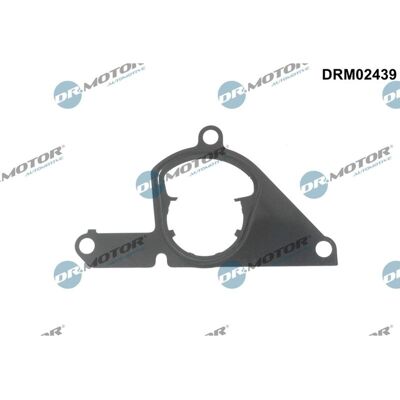 Dr.motor Dichtung Unterdruckpumpe Passend Für Ford Focus Galaxy Kuga Mondeo Rang: Dichtung, Unterdruckpumpe Ajusa: 01798300 Dr.motor Automotive: Drm02 Dr.motor Dichtung Unterdruckpumpe Passend Für Ford Focus Galaxy Kuga Mondeo Rang: Dichtung, Unterdruckpumpe Ajusa: 01798300 Dr.motor Automotive: Drm02
