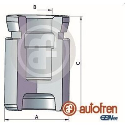 AUTOFREN SEINSA Autofren 36mm Kolben Bremssattel Hinten Passend Für Chrysler Pt D025370: AUTOFREN SEINSA Autofren 36mm Kolben Bremssattel Hinten Passend Für Chrysler Pt D025370:
