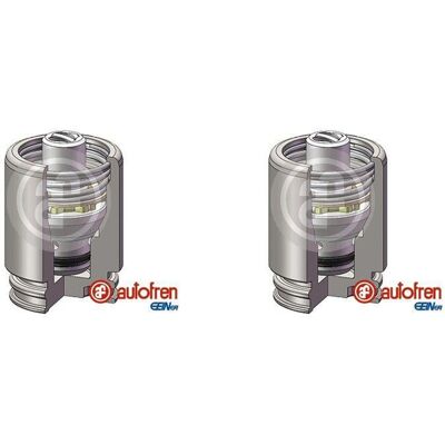 AUTOFREN SEINSA 2x Autofren 38mm Kolben Bremssattel Hinten Passend Für Cadillac Bls Citroën C5 F: AUTOFREN SEINSA 2x Autofren 38mm Kolben Bremssattel Hinten Passend Für Cadillac Bls Citroën C5 F: