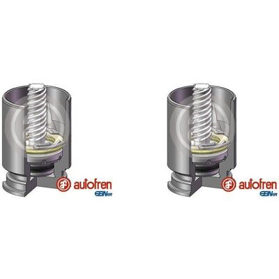 AUTOFREN SEINSA 2x Autofren 34mm Kolben Bremssattel Hinten Passend Für Citroën C3 Hyundai Ix55 O: AUTOFREN SEINSA 2x Autofren 34mm Kolben Bremssattel Hinten Passend Für Citroën C3 Hyundai Ix55 O: