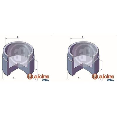 AUTOFREN SEINSA 2x Autofren 51mm Kolben Bremssattel Hinten Vorne Passend Für Citroën Xm Daihatsu: AUTOFREN SEINSA 2x Autofren 51mm Kolben Bremssattel Hinten Vorne Passend Für Citroën Xm Daihatsu: