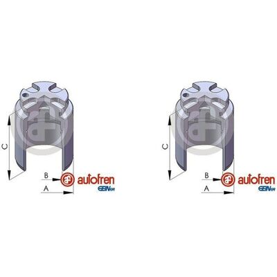 AUTOFREN SEINSA 2x Autofren 34mm Kolben Bremssattel Hinten Passend Für Honda Civic: AUTOFREN SEINSA 2x Autofren 34mm Kolben Bremssattel Hinten Passend Für Honda Civic: